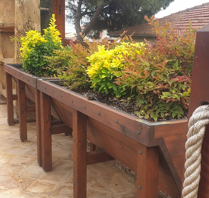 AHSAP SAKSI AYAKLI 2